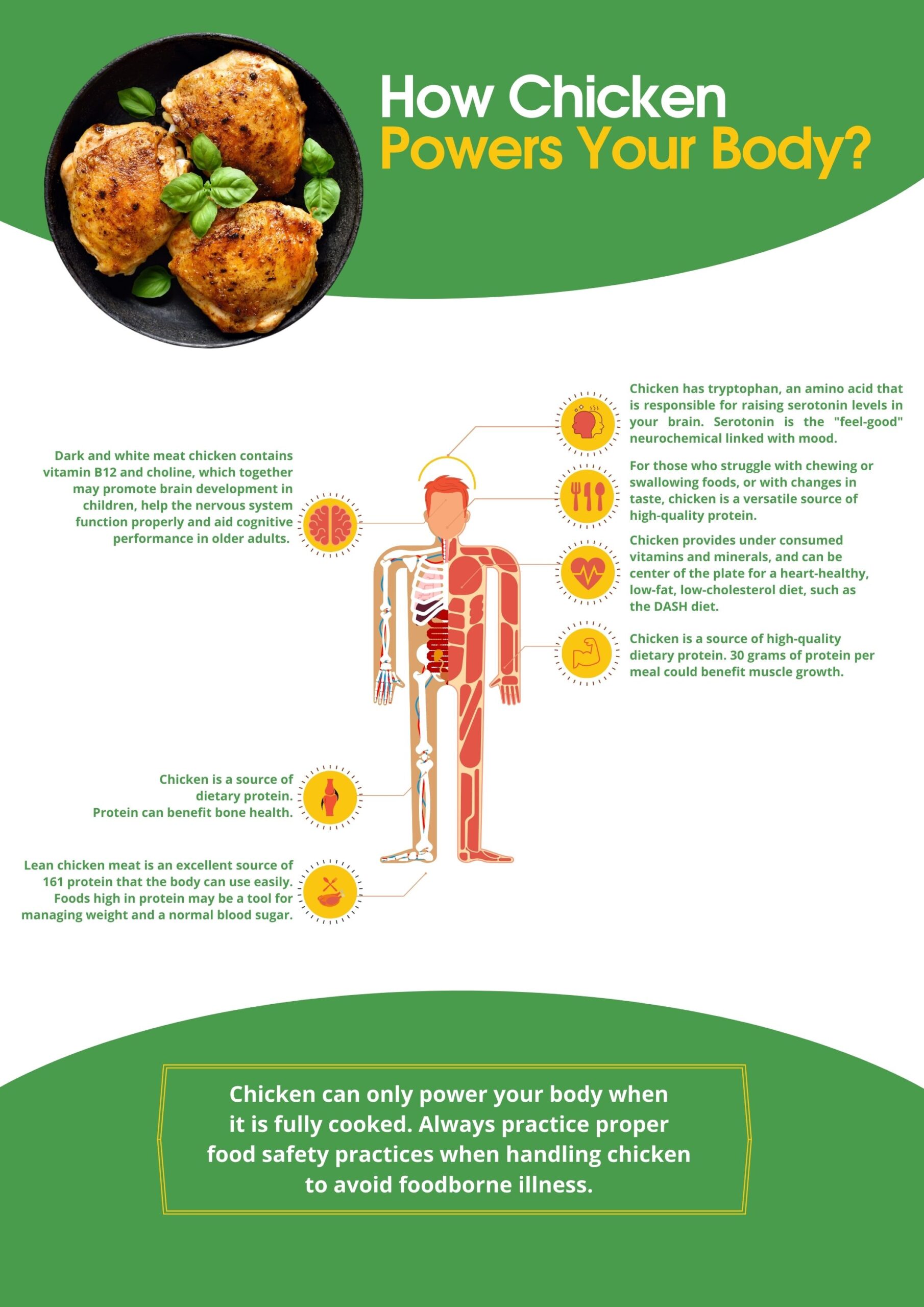 How Chicken Powers your body